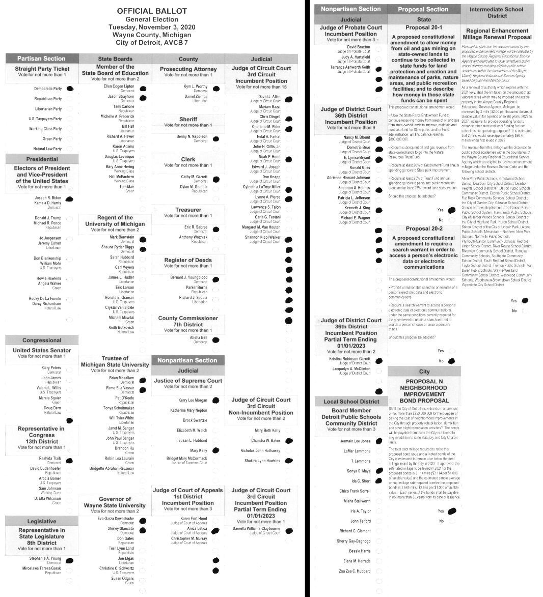 Primary-style BMD ballot example 1